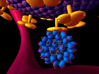 Illustration for article titled A Nanotech-Powered AIDS-Killing Condom Is Closer than Ever
